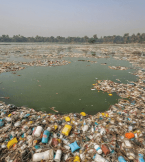 Dry / Polluted Lake