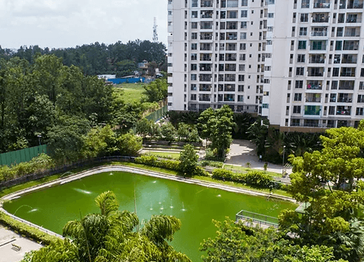 SNN Raj Serenity Gardens,Bannerghatta Road,Bengaluru- Views